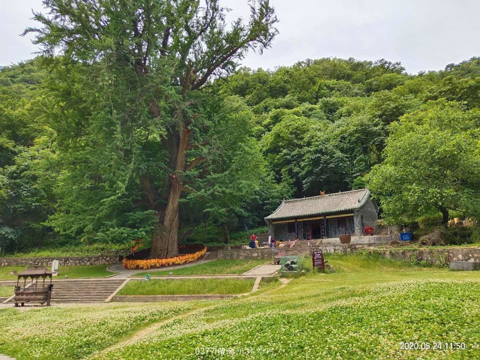 F-cmppHQH6yKY00N0k56qb9XmhjMVDRZLPc_5wN9cwetS9WezE5Ozs-w9zzv4xeB