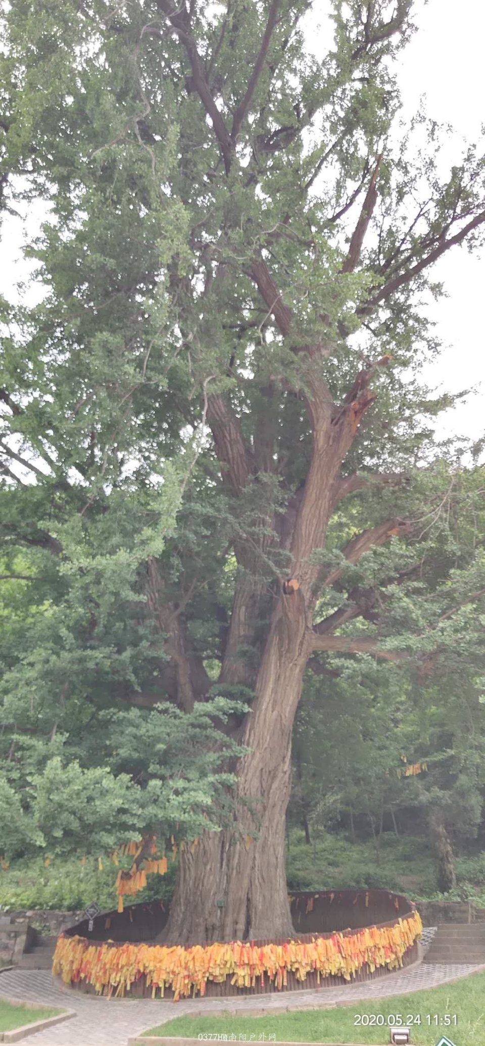 wKBCi4lpUBbEUvuRodw_VwaghVQsfxJuu1QgwJ-ofVGXY3Rcs2d3IpSeF9pplJ36