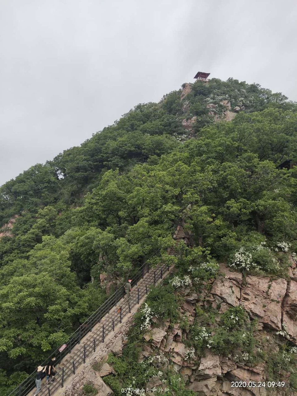 SRfyv9XoiVfsT2y236Eer8KQldTvOTHLfSQL1wSdVmXlKEo8toiRijg3dxCUUM7R