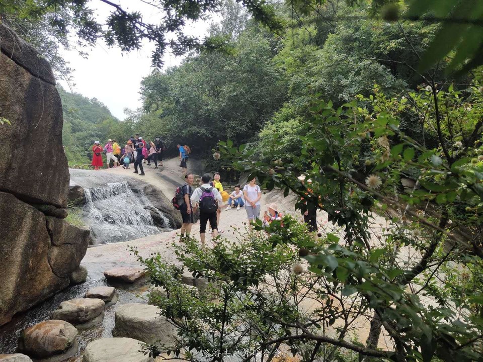 AqNzVnORvR5HolkgwlI2EsJNwtZZHleu8VVgrNYp6WzQoF_kJkAVlAJLfattv_1G