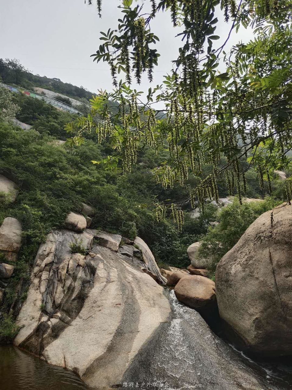 GiYSK-Q8sAbGLAyAiu43Ob6pv--nERuZr-1XOIsXLPIgCpwuVx9GjHxy-_otUlv1