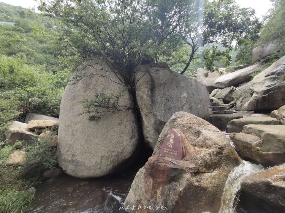 SZXNCoDARihboY8z5ULukaZ9mFF5gzuDi4yx4hYPKa5EuQkmnfc8Xb-kACef9fLJ