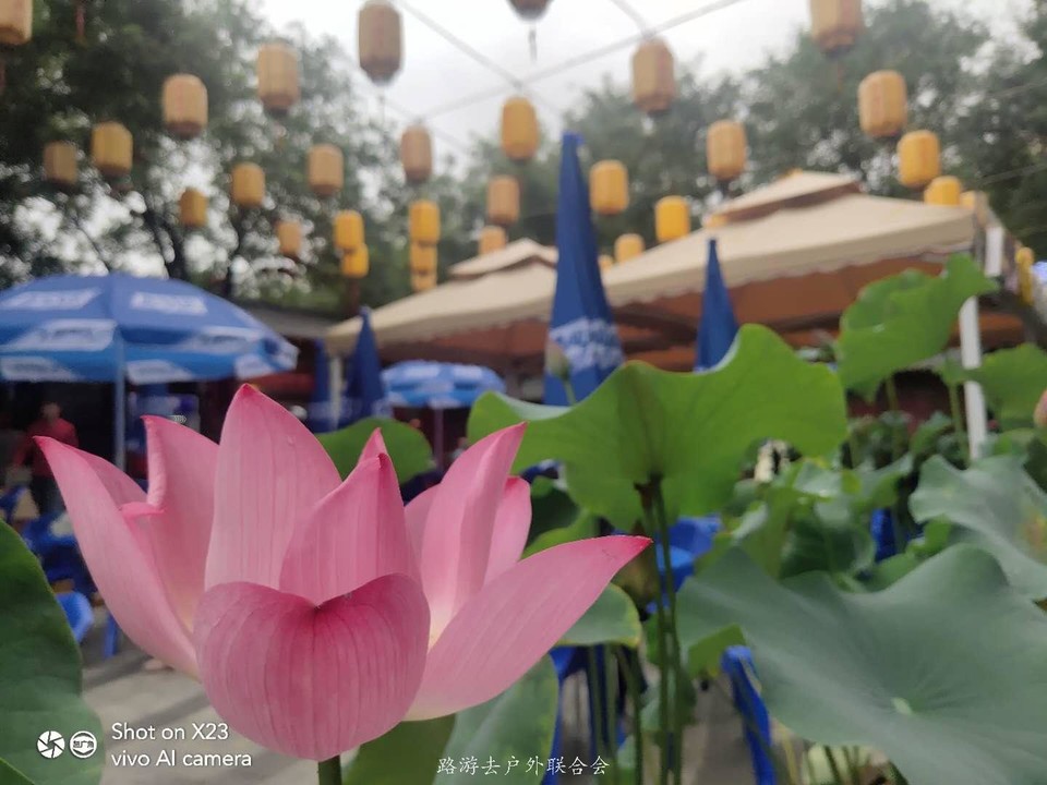 9oWF9TYO3CCO87CzowG4HqMcBQWxNH4ib6c91UzUgptWjQKKmKN_rVkRfoF1Mqsl