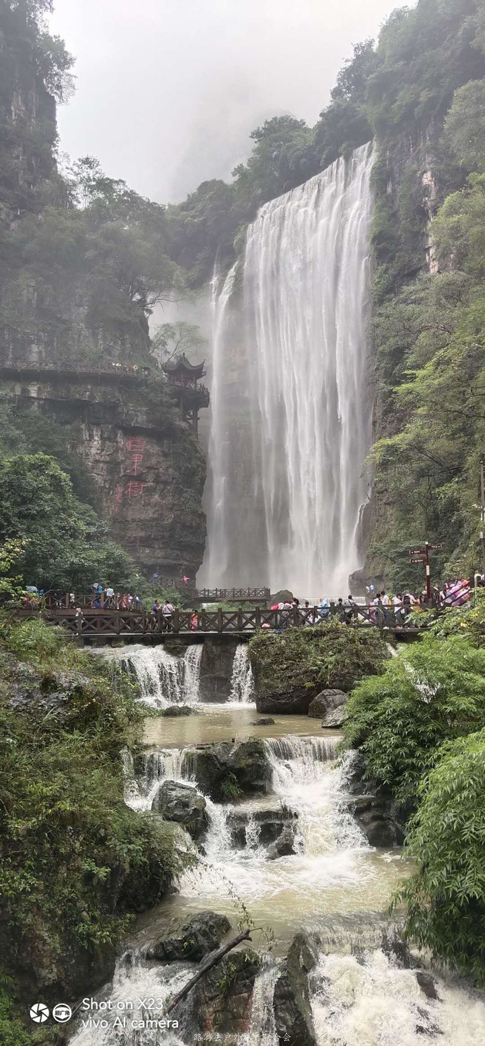 Rs_Qt_Gk15PYuSf3F0vO0omw1pkbHtvGJJNoOUxszT9lLqLzT7cKhq5-6y6zAf1y