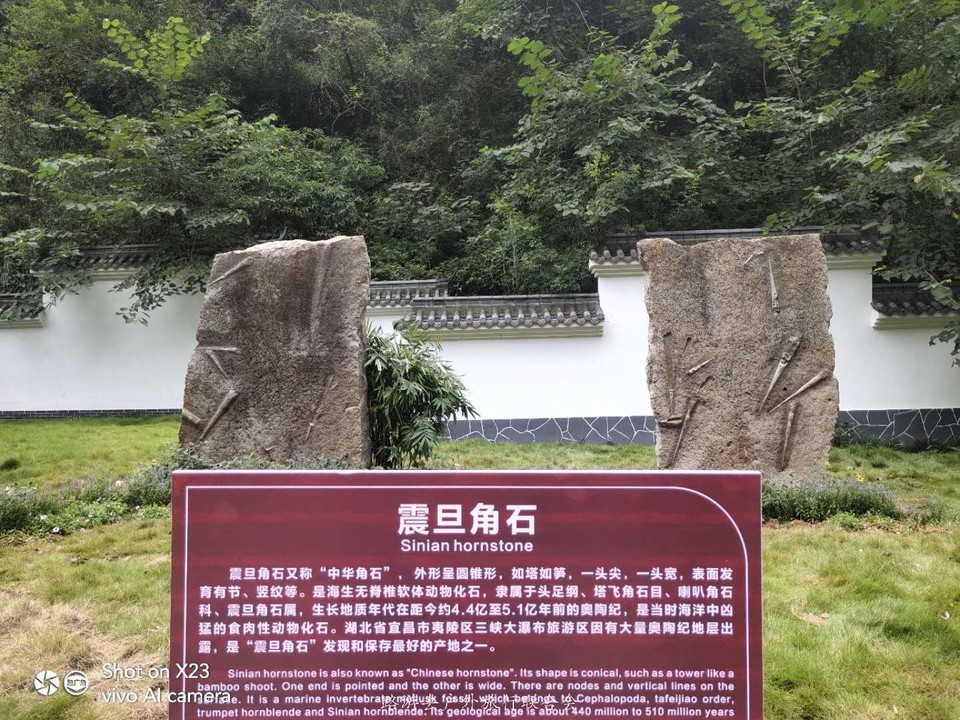 8Go-1Gonc5Olxuq-xEuUPp_BVUh4YfZDj7RDaMxW9M4zzPwiz87Ffsrd6pXwIIH2