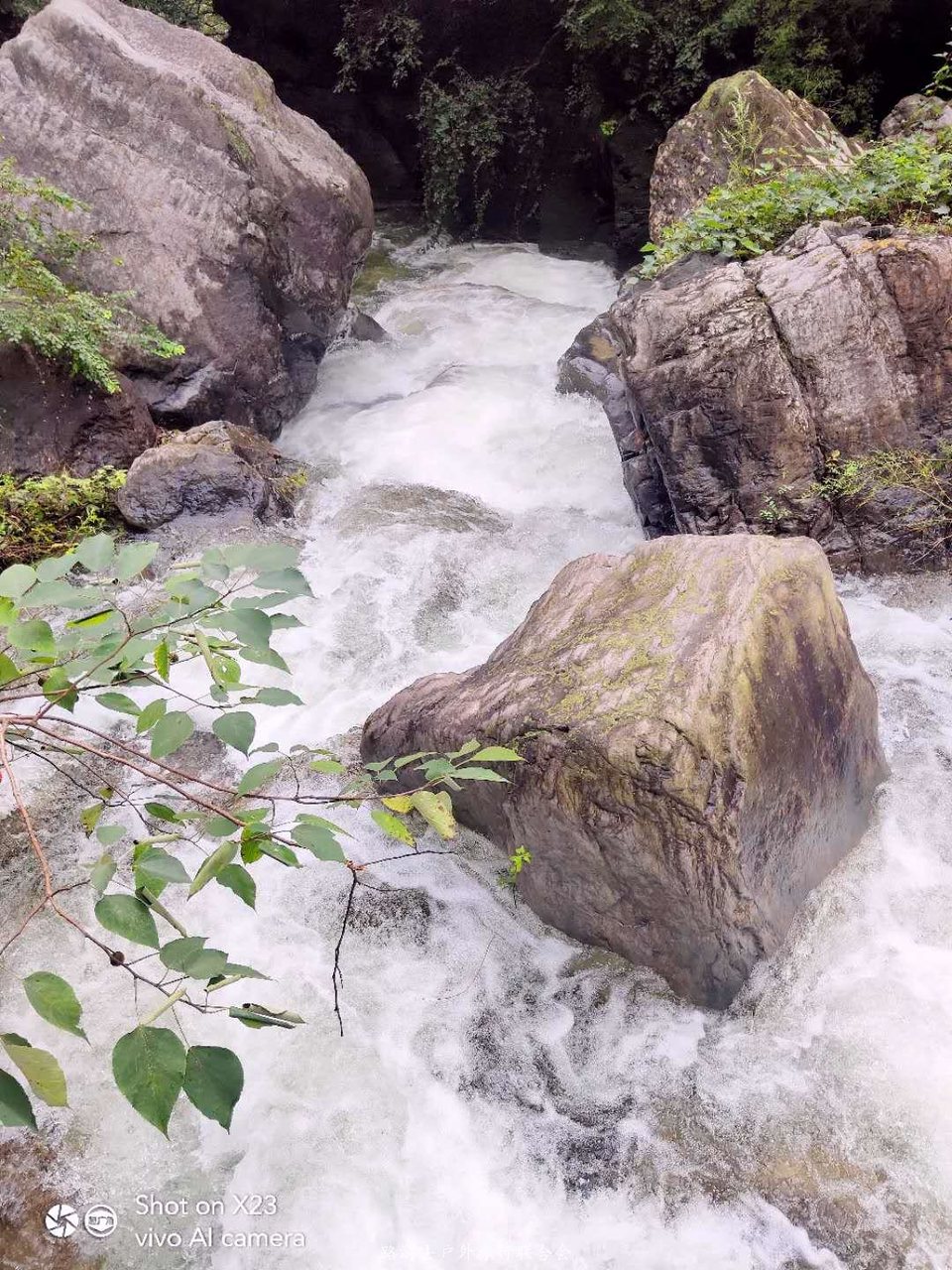 btcJKFkW1imRckdGjGlq1lgtisAwK9VdZ9x5ViHNGBhe1YC17zOUXt_--GzfrKdt