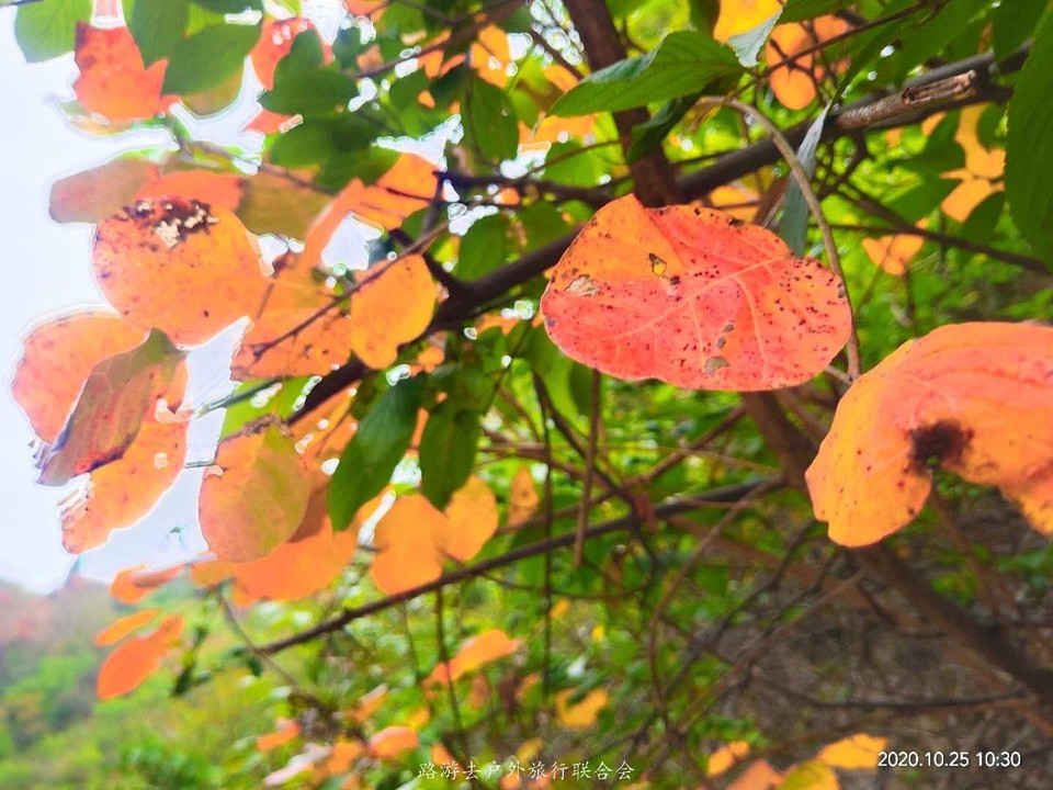 ZI9wNqj4iiBus73JsA059TQGpQ_YljYHUHkGINay828IHFD9De5Z1ThxKha-B5Gq