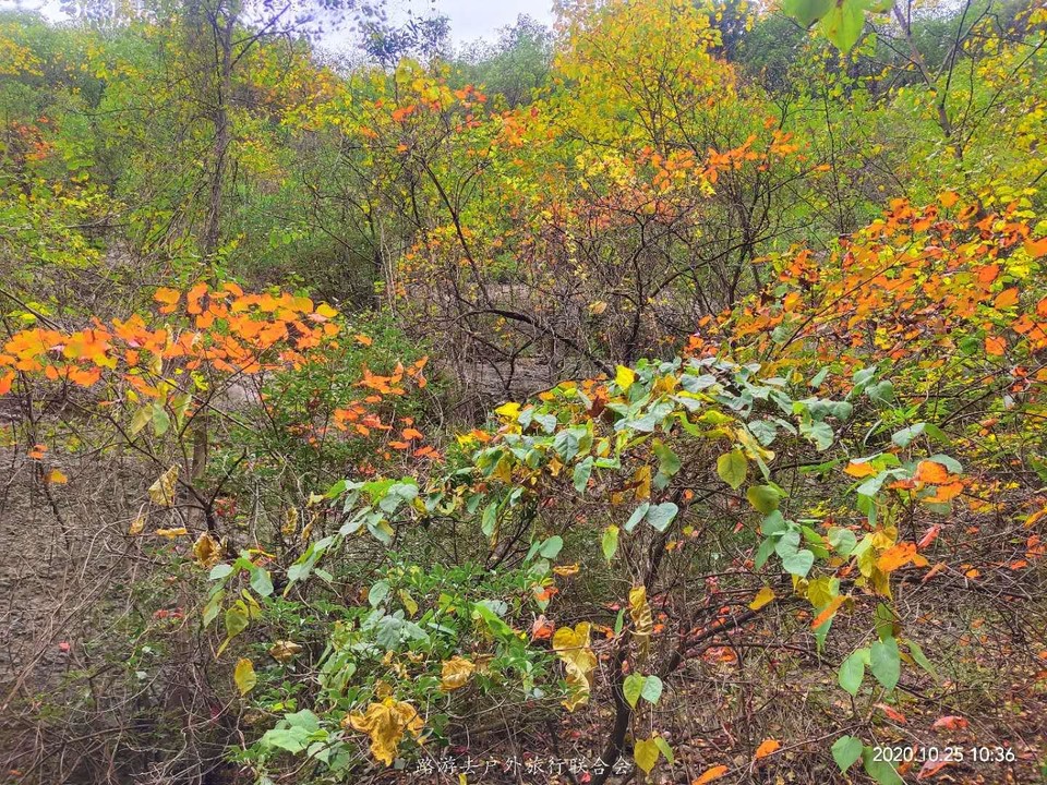 pEgxpSVWVQbYl5Dh4U6jLWuLG7YIjH9wM-iwFYdMLV_O2b9bI2N7Bhb5nf5raTU6