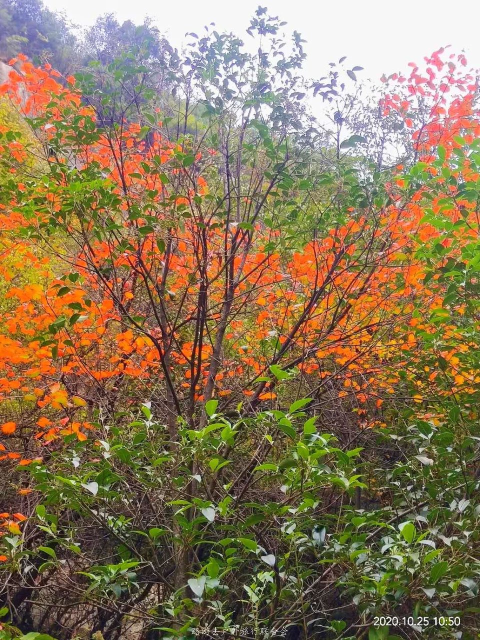 pRsdMSLcepmZetsaNaAiWohgoUlObfC8PaTfhw7S-ju0xv2FPSXJrDCt6lvb-hBB