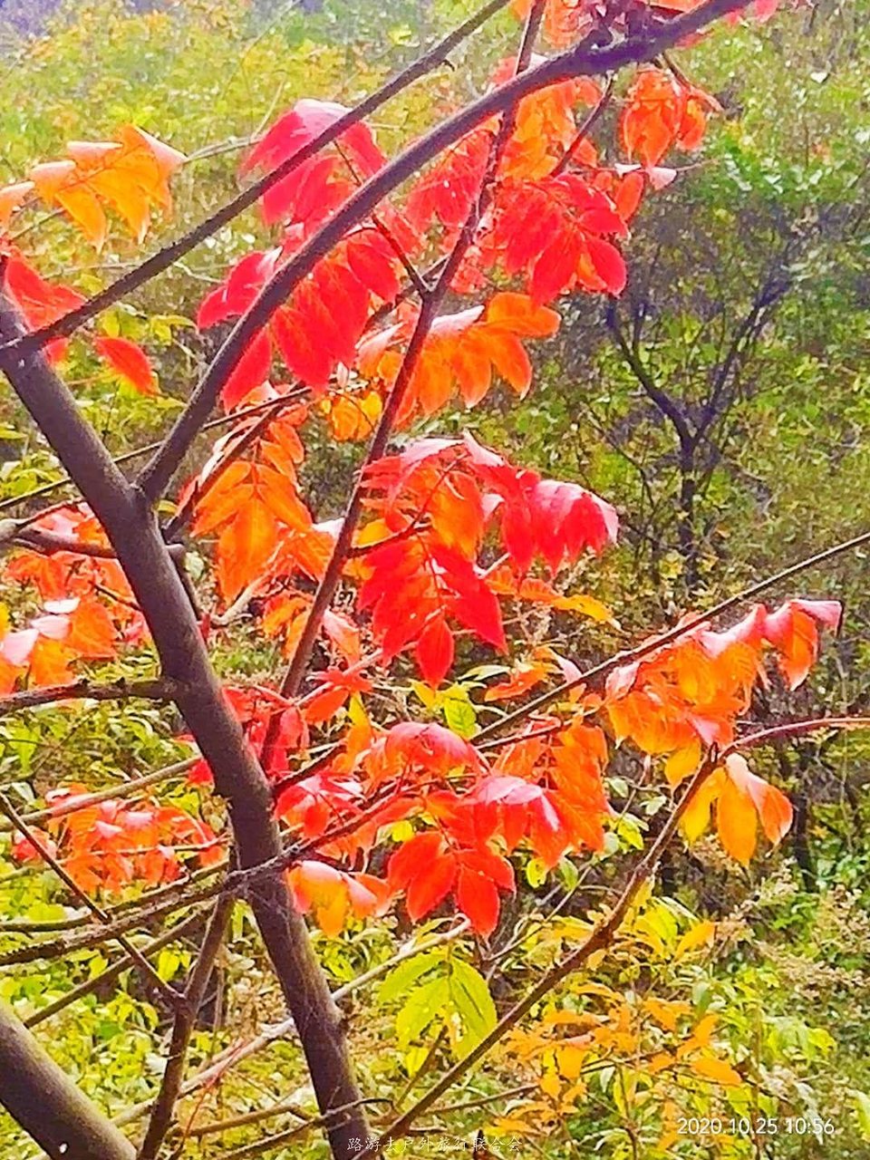 ezP6mEZcdUz27Thiv0abAcPeWxHVBl6ixXXpXsMDf0FNuZ65eimrJGJk7RcY6TLl