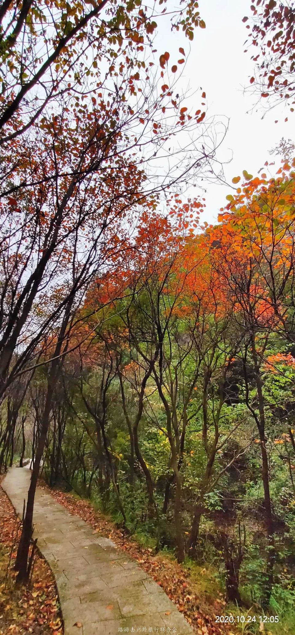 yFMgWAxxBn7KznYraOEa7TTyneE3azCR6o8xHJ9V4pkbaaaMhmmdGr_uIwNGVYDs