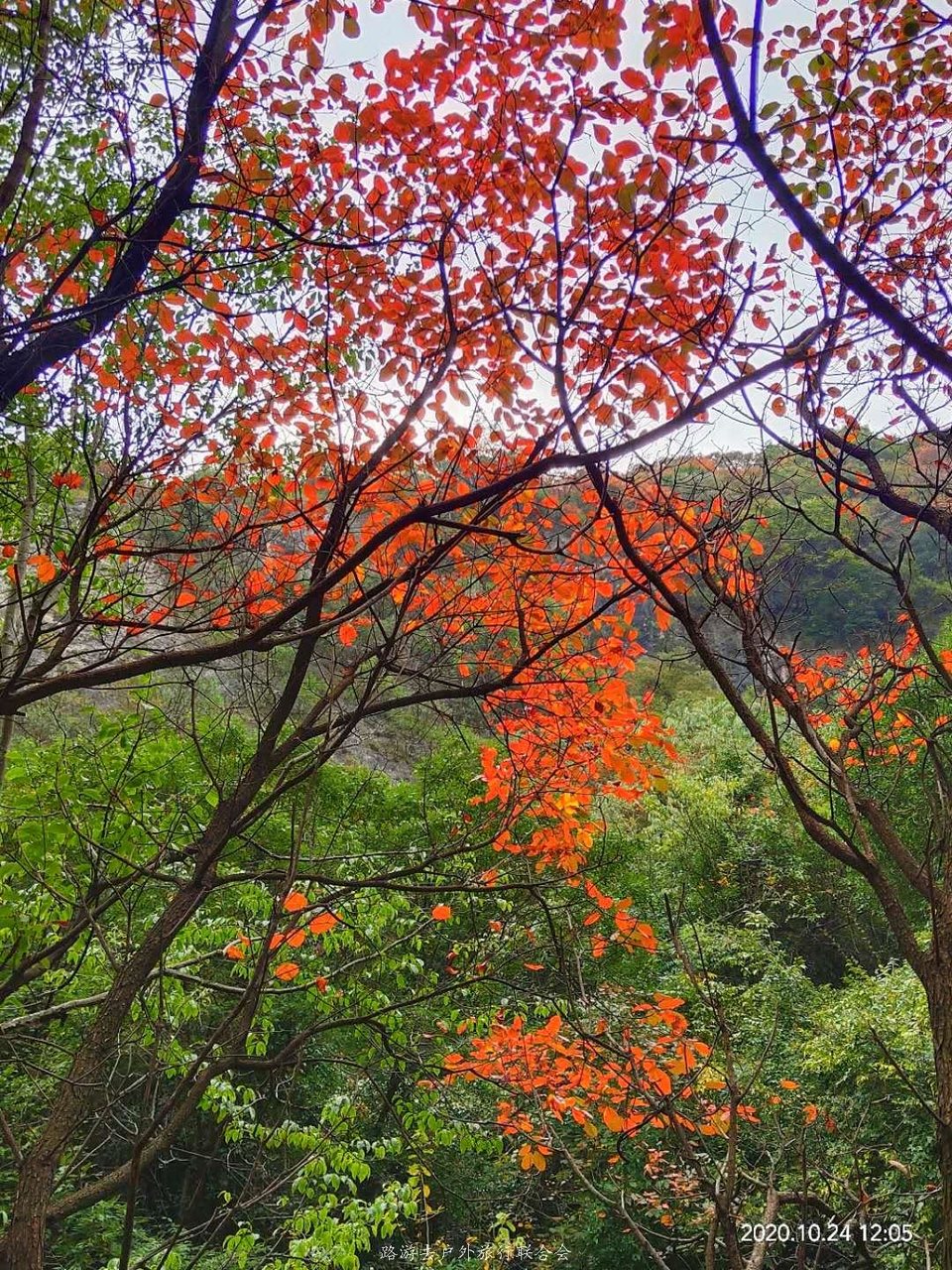 Y0-BdhM_fv5xwwnMPYfzZKWN9X4bGe1-mpkTFLy5Nt-xXE_nodnH4d7XVng-Vlmy