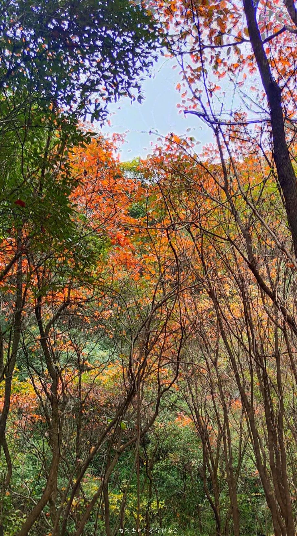 68v5zIs27JGwKjjZVzr3WDwH02_hJjai8JKrcFb0wWSbzwgCr9KvRRrE7OoNyFWk