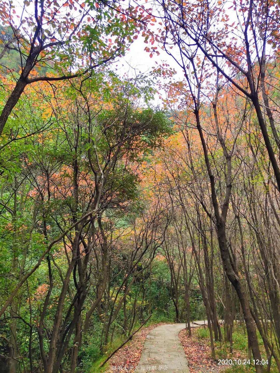 tvEjEqj1sG0txpxmWaJg0z--T3A-XCBCzgn844W-R-jHrVMKeowWndQL4fhxes5O