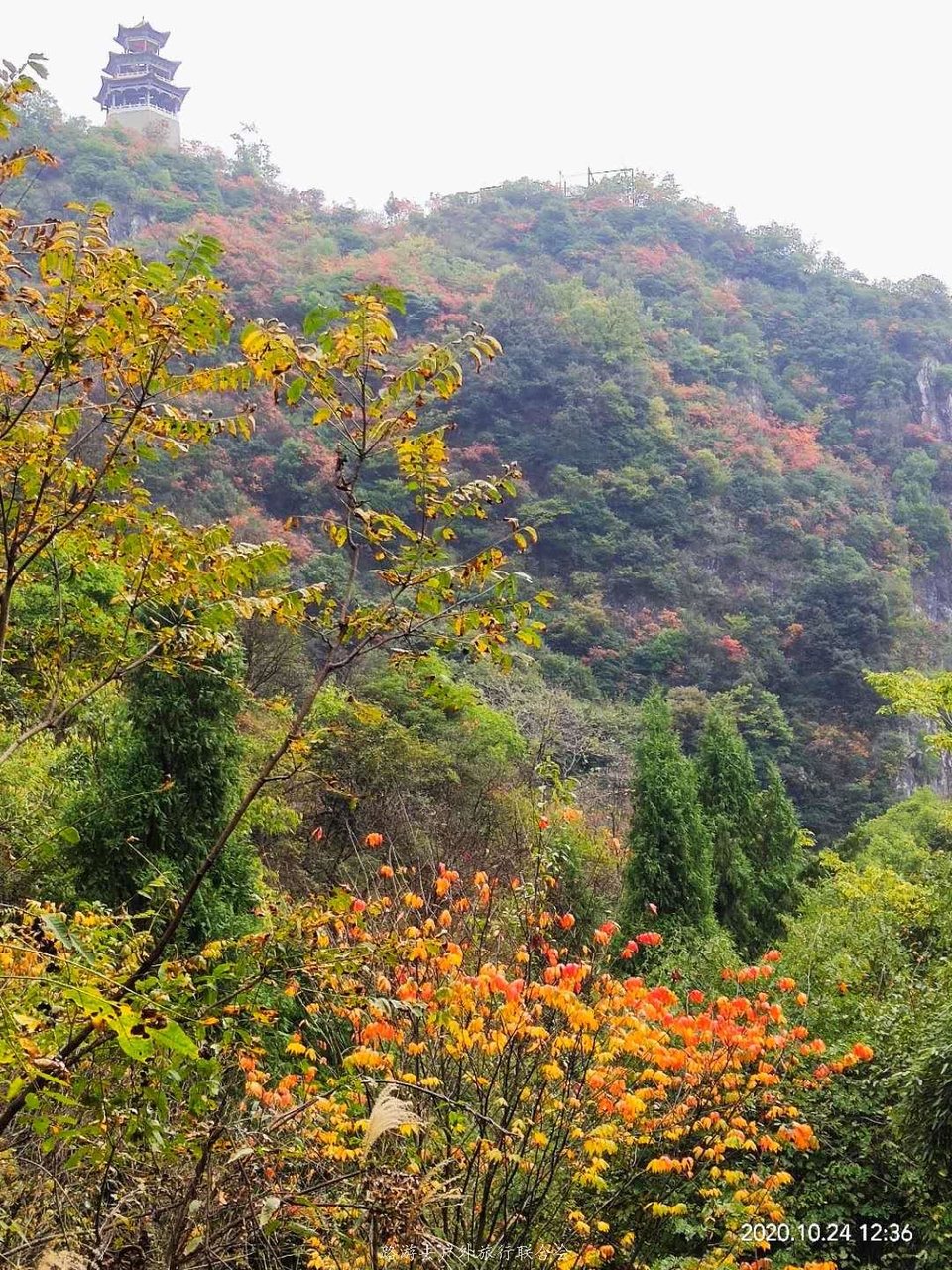 odU7rp_bUDU2T6uRBbv9Zr7-HpjcqWovgDA3MiW7v3IuMmJkD3gxMGWzduMOBgxR