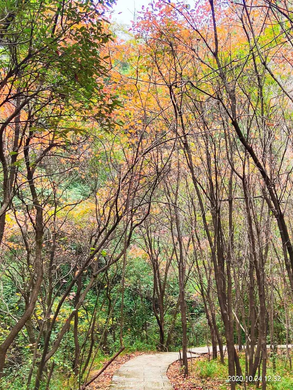 qGvvoPEkTdL6Bt2S1tthiFYJQrekRCke8acQgzpAy_U4kzAUDF0zAqXCjnSEN9Oa