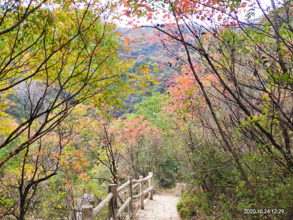 tqPcaz1HFRxs-kXkoiHXrXOwqkXEkFY-sxfAqc4YTSPyMqVhR-GTTyrTGkp4srog