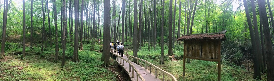 A6A954F6-38B9-4A90-A6DC-DB96F4F80675