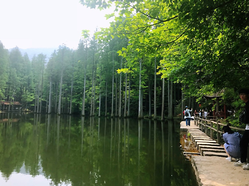 C04A0D01-54A3-43E7-9741-9C2A8DF63D53