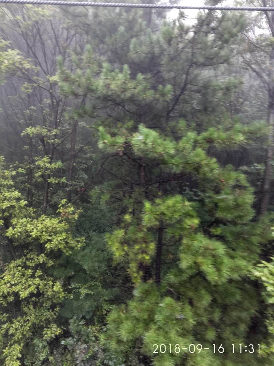 hXZTQdCf316GBcakGLtRA8gLKFS1rj2yUiIWibZonAK81enqRXEz3iiyripdMqqN