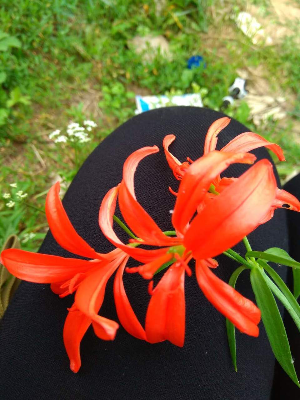 OWekeoo895S7cWcz9ZE9KweXGEKRelPL-Ye_qB1h6LoWtKdDefxzFba0B7iITQ4o