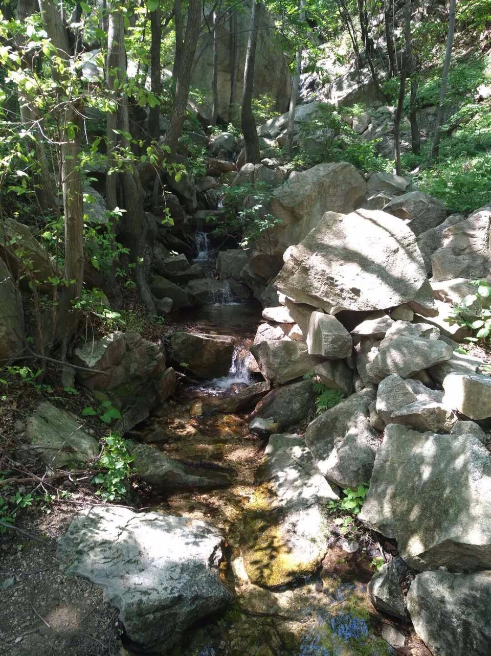 mmexport1524998575047