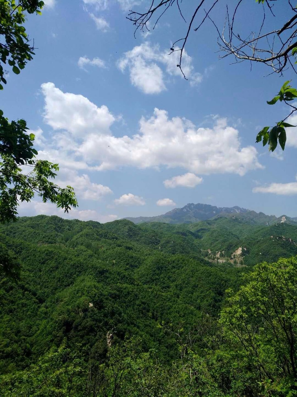 mmexport1524998395253