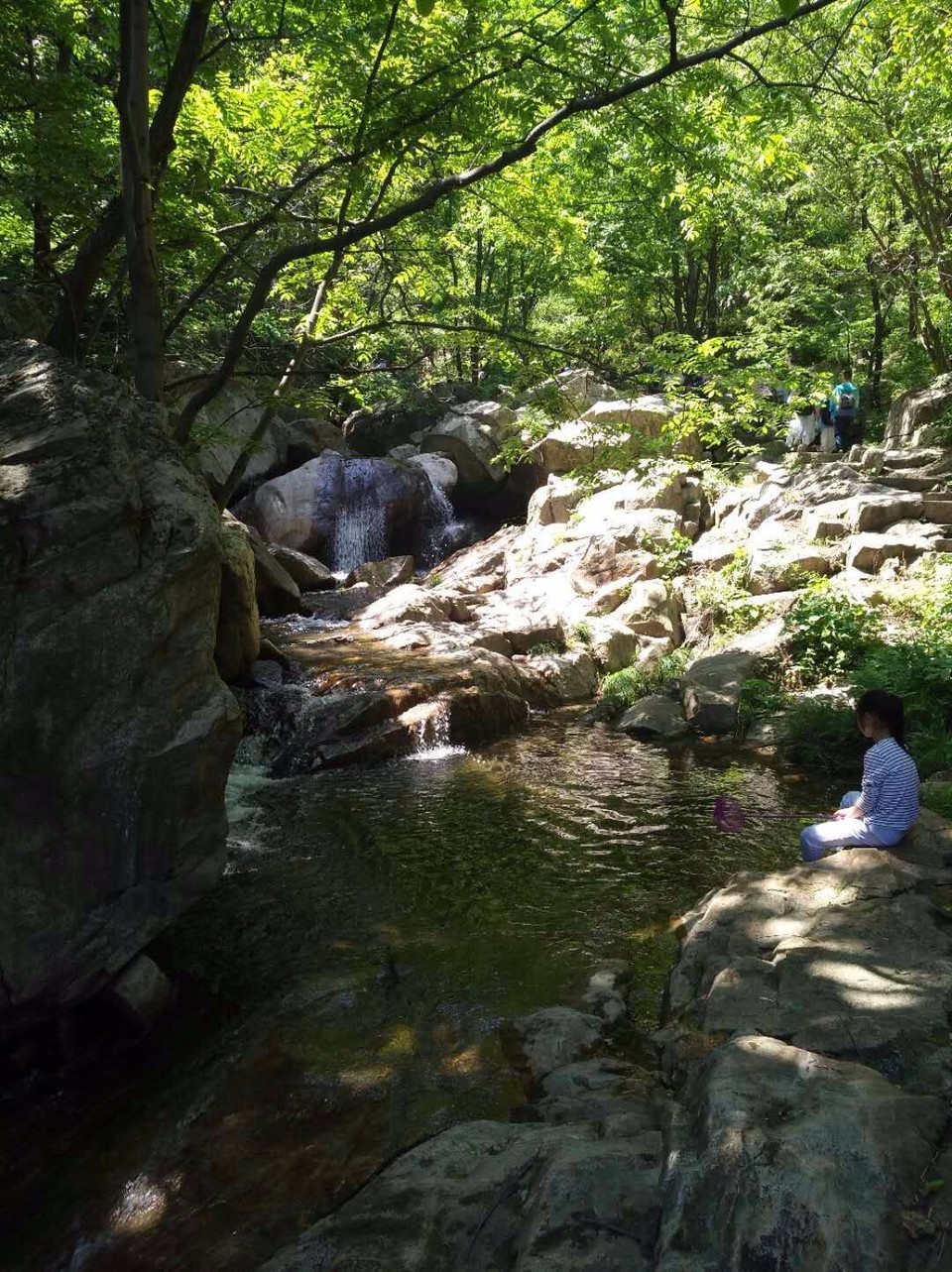 mmexport1524998458582