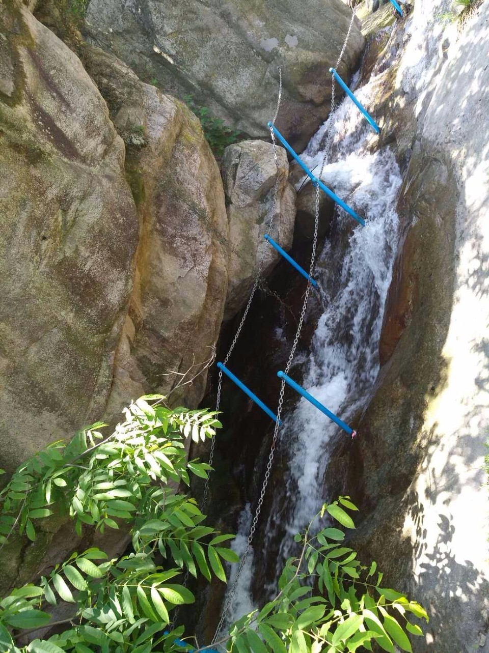 mmexport1524998461778