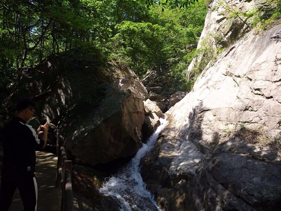 mmexport1524998520297