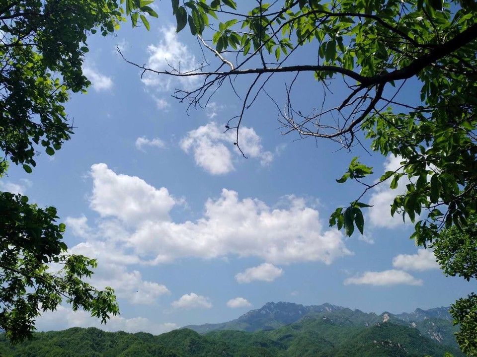 mmexport1524998398741