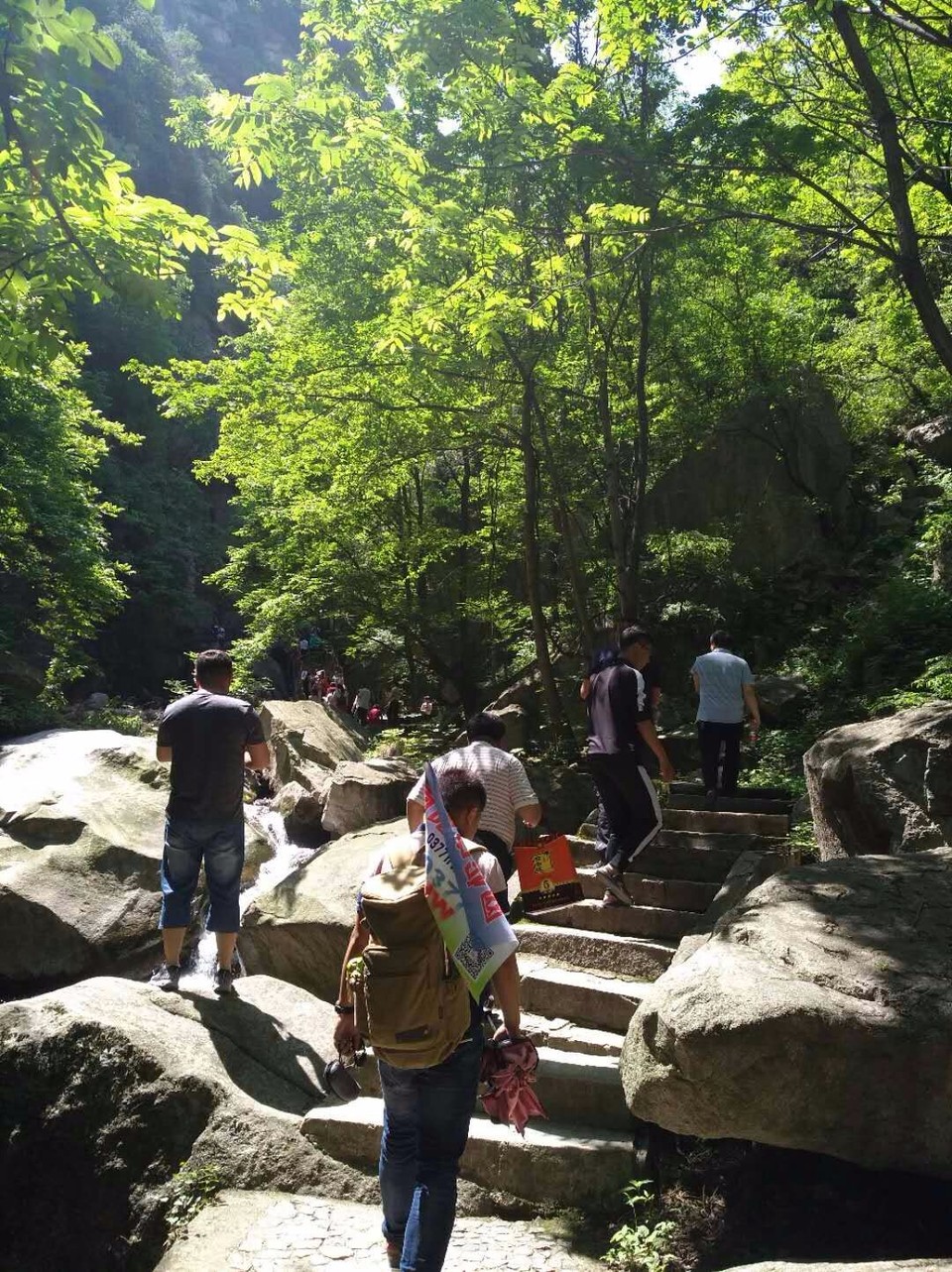 mmexport1524998543025