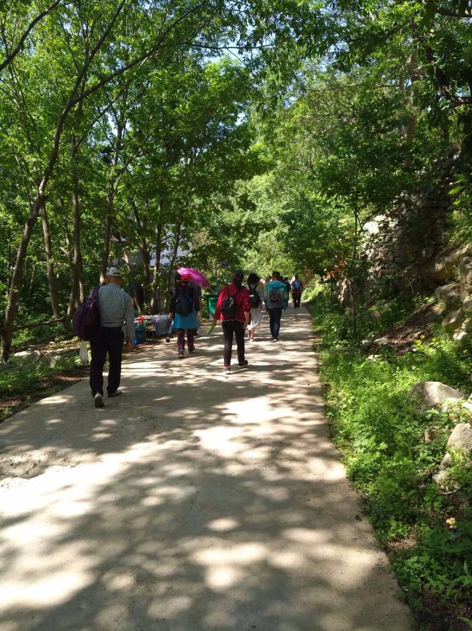 mmexport1524998620637