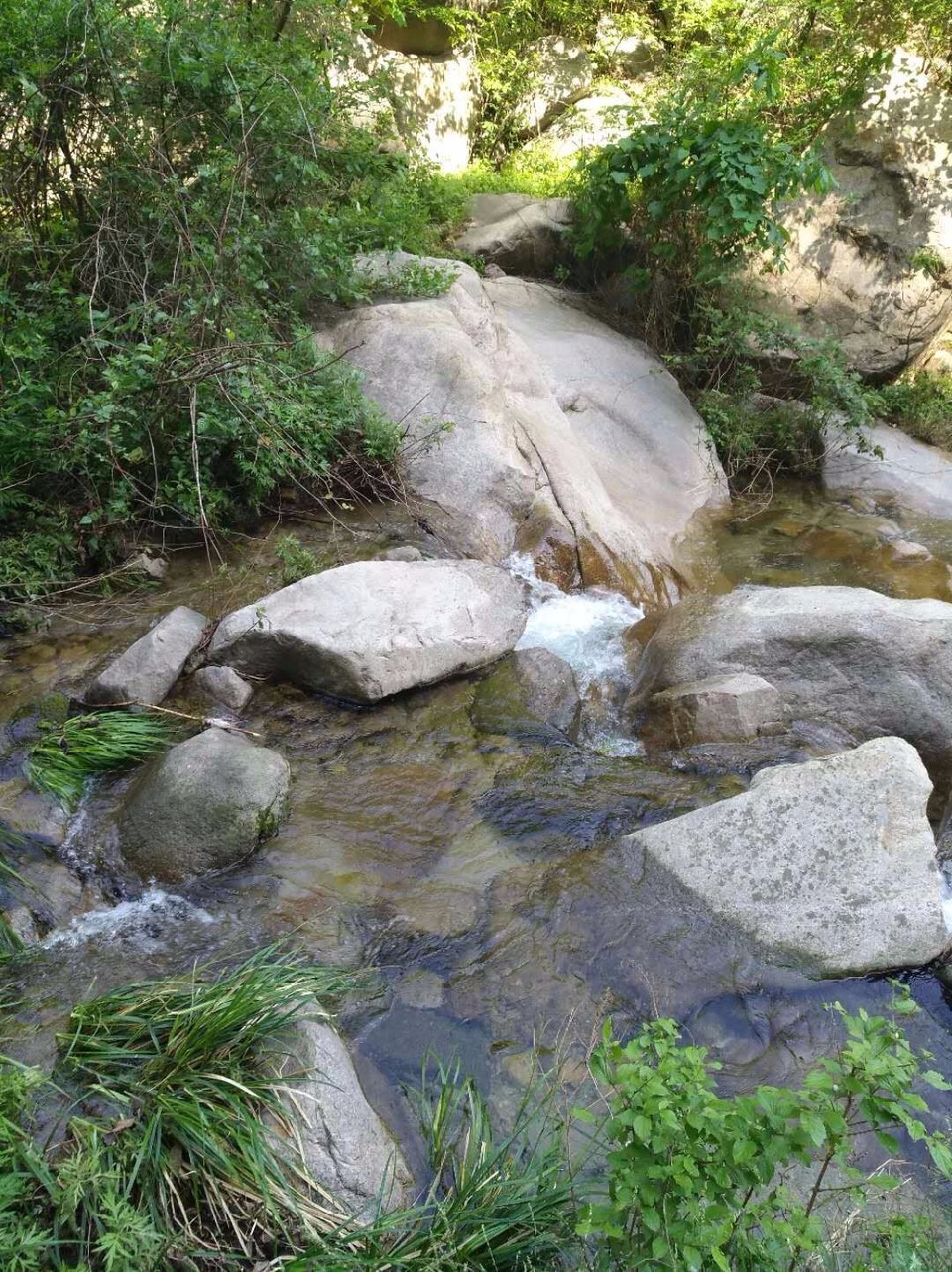 mmexport1524998589233