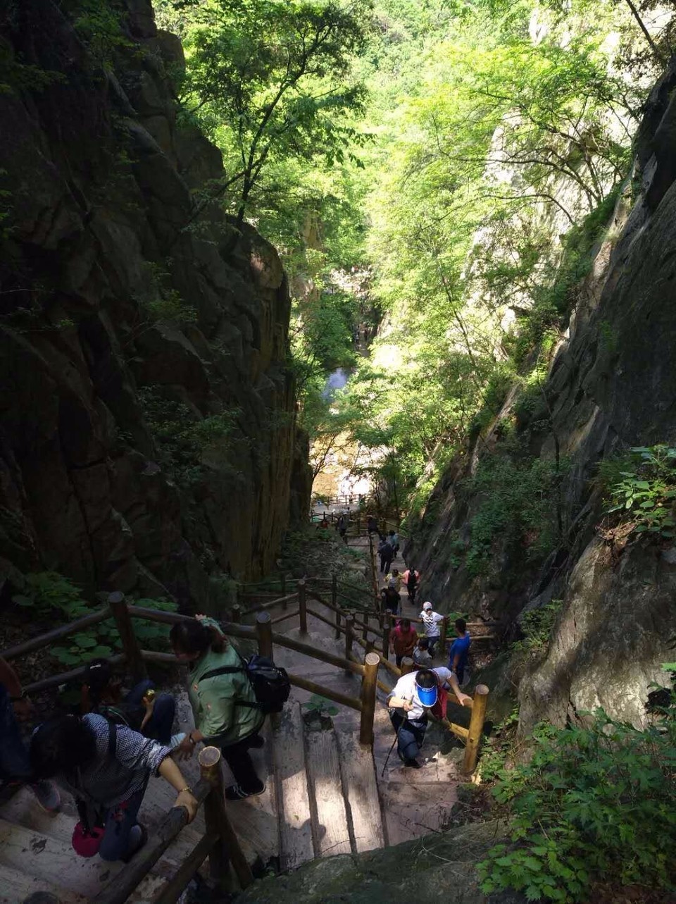 mmexport1524998408647