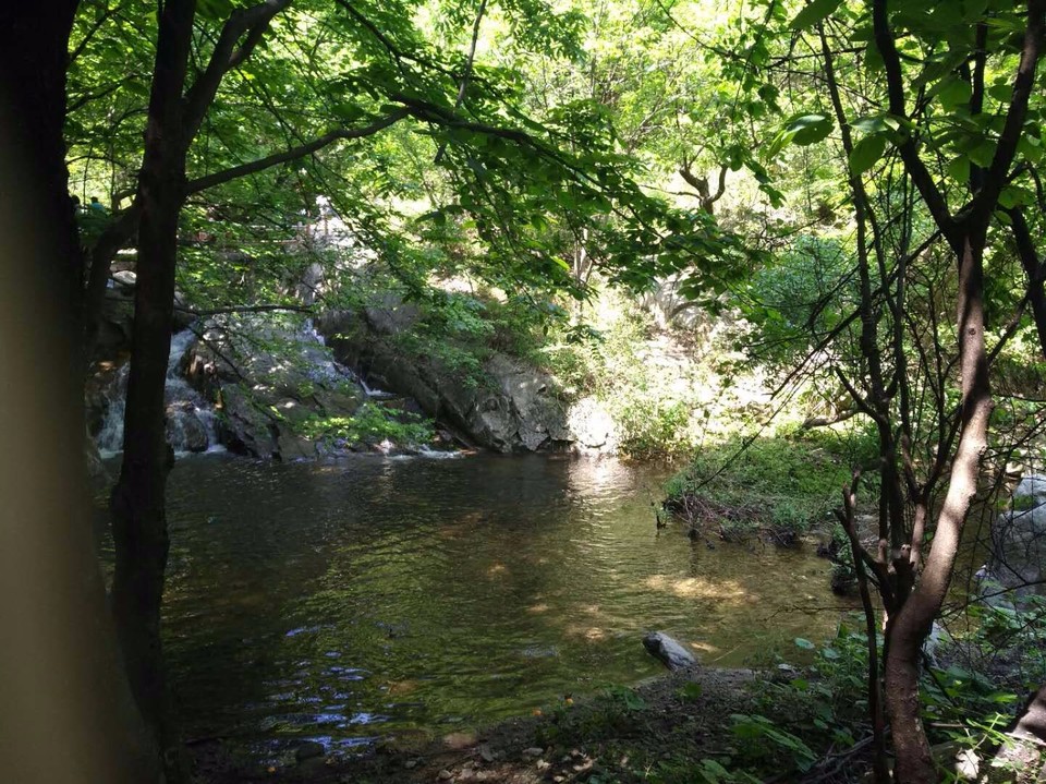 mmexport1524998494416