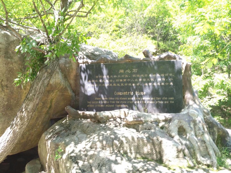 mmexport1524998470989