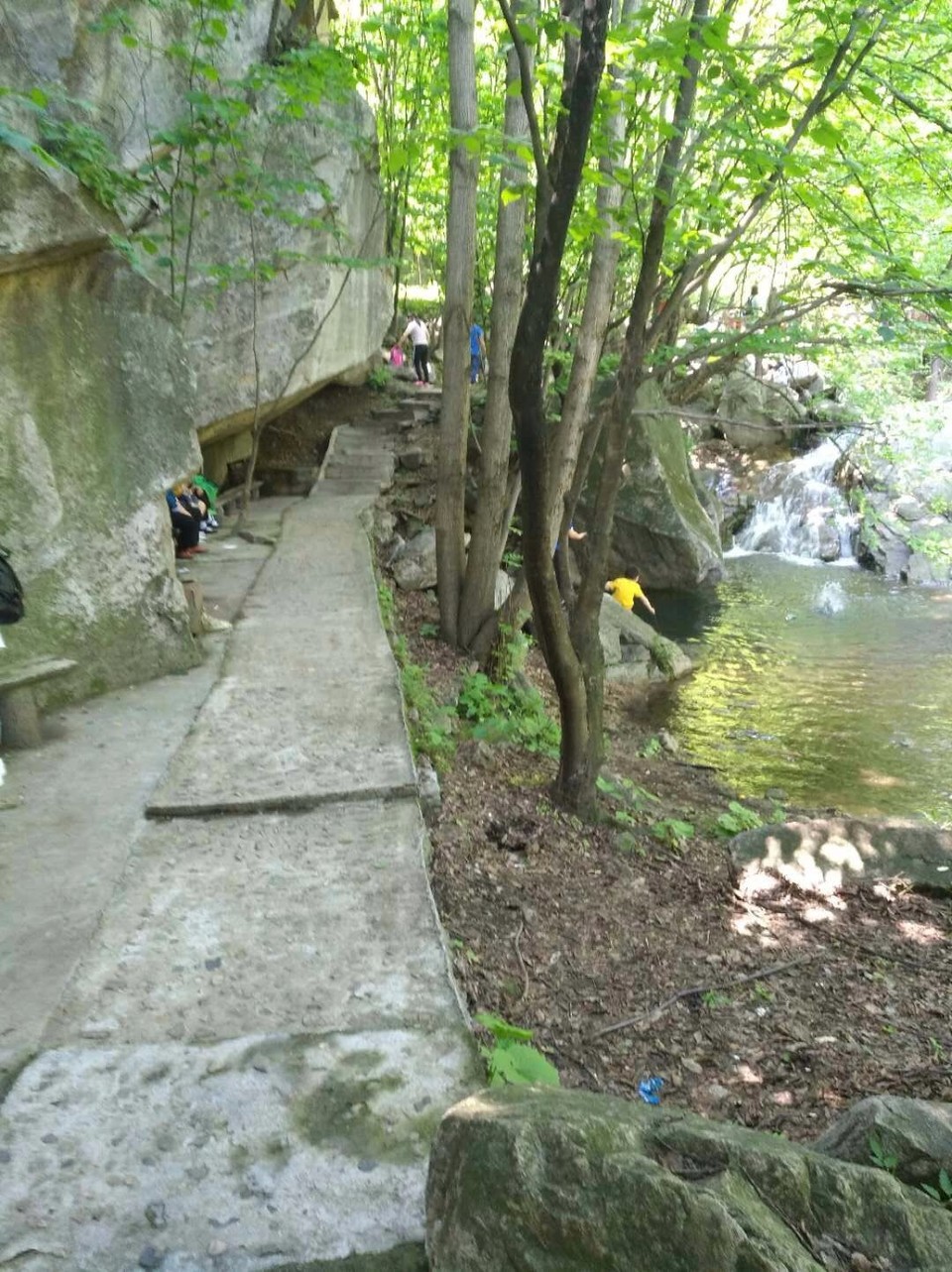 mmexport1524998497471