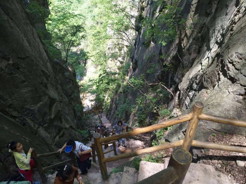 mmexport1524998405220