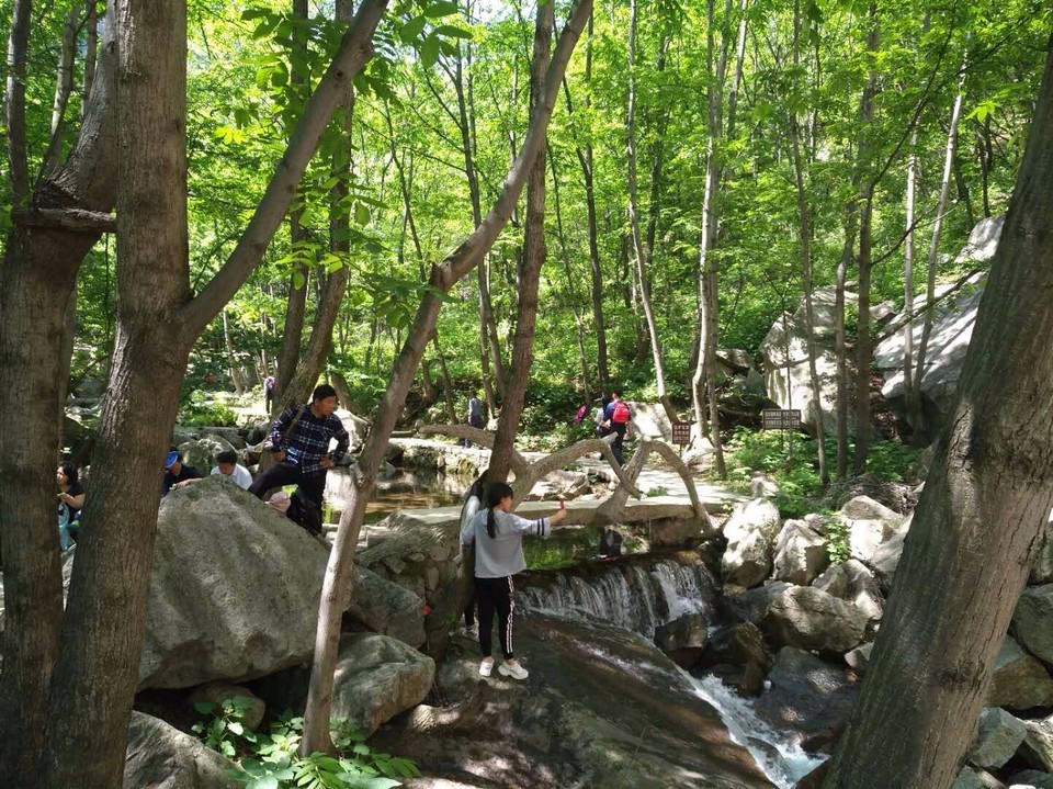 mmexport1524998503945