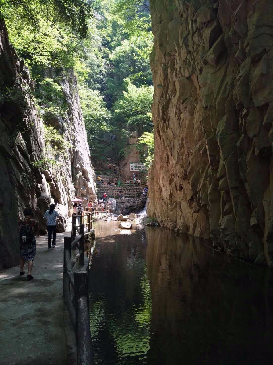 mmexport1524998441820