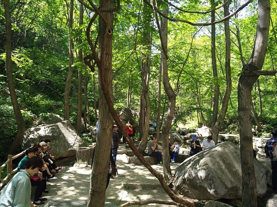 mmexport1524998510258