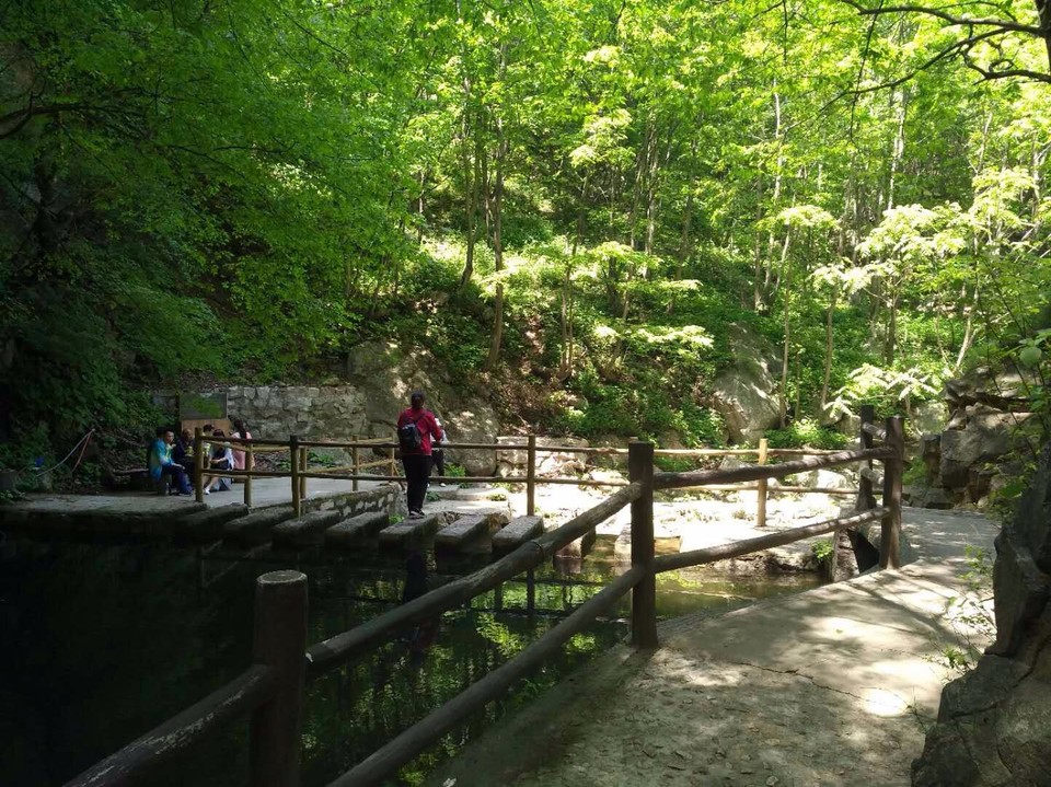 mmexport1524998438565