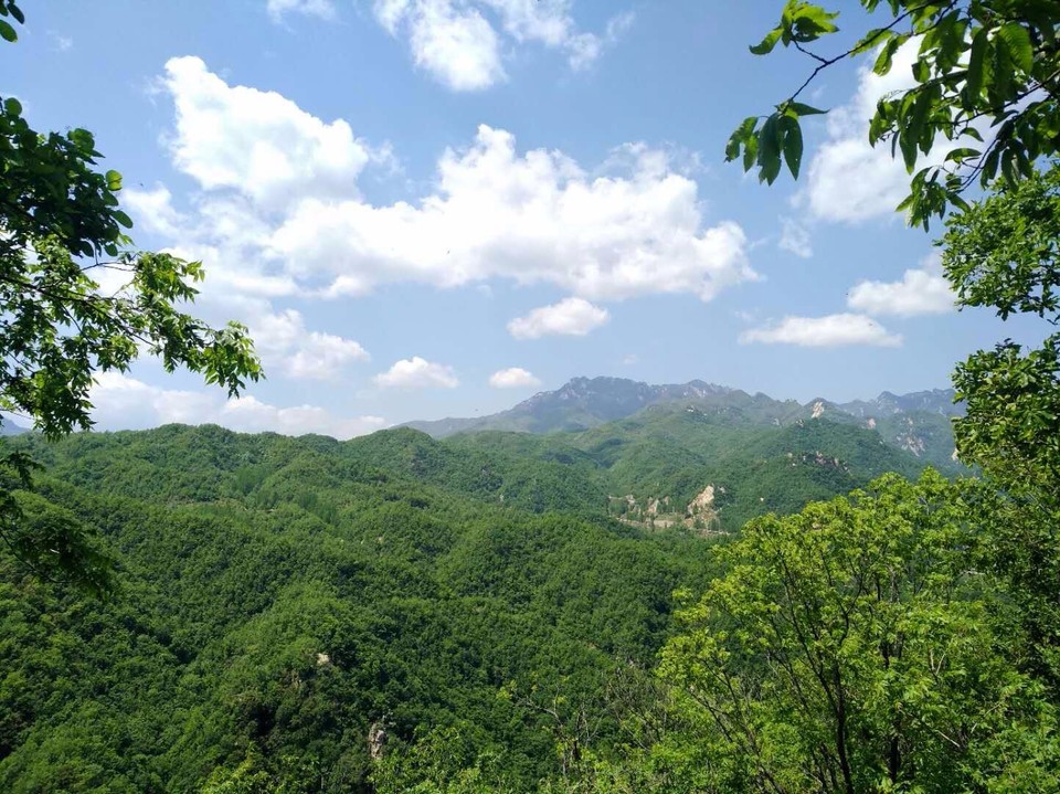 mmexport1524998401974