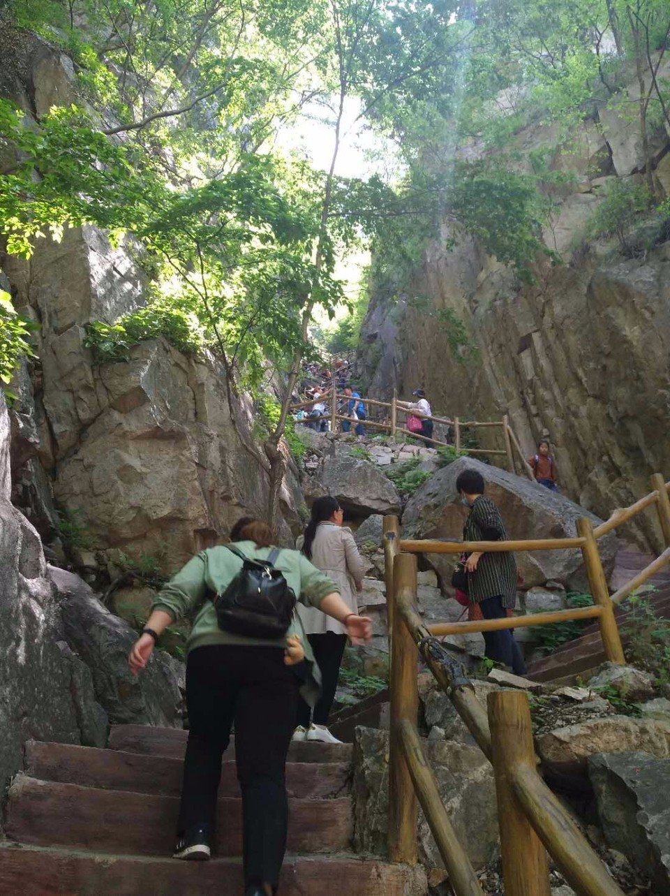 mmexport1524998412202