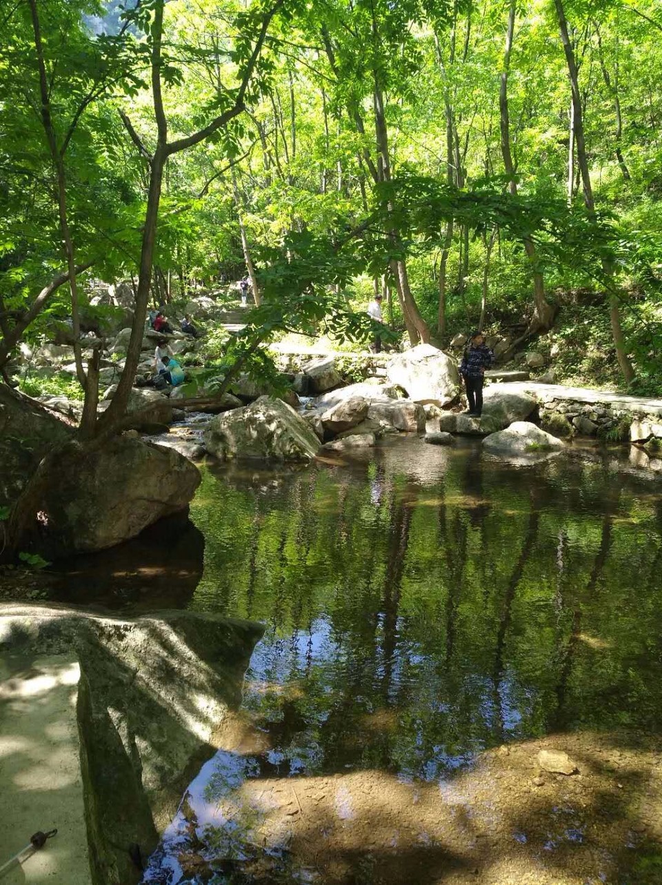 mmexport1524998500541