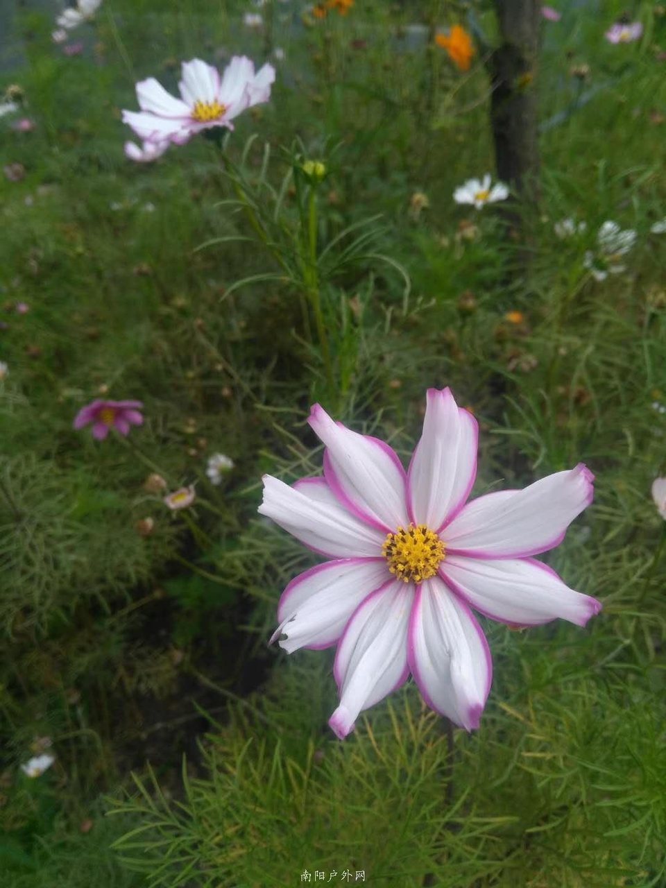 -Ff8s6JyhKZVZKo_vP8qhLctDqszQS5MmPmGLI0d9rButX-mlj-uO7gypuEnrZy3