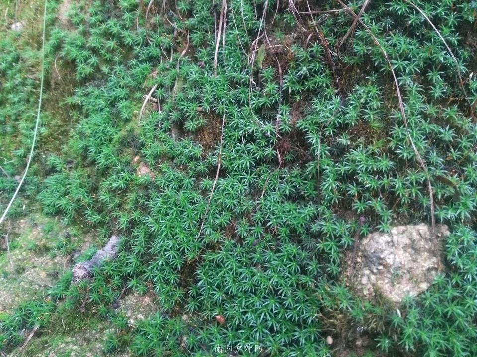 Ic_9xjC0gYhzO3q4s4RcquAsQjPFW_awjQG4e_nk_WlH3u6aHUD465P7WqK4gwHV