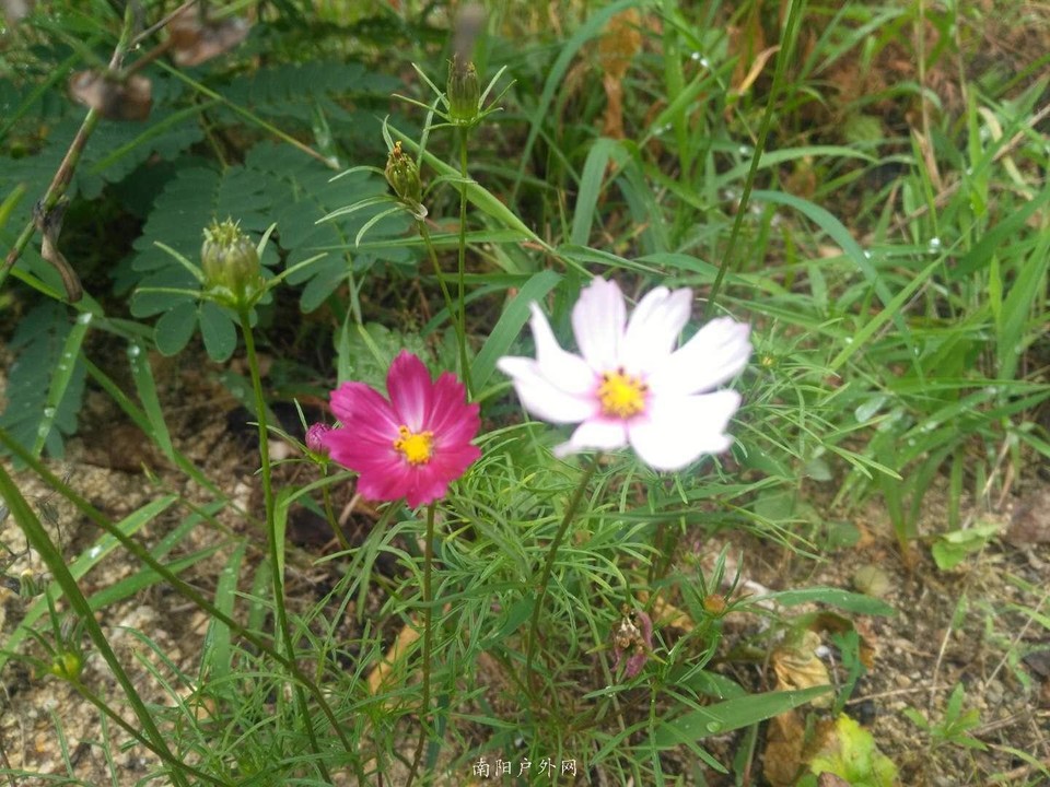 zME0DuHy4Wii076XG0d1N89726tLLEVpl21ZcNA0_vYwAb_HJ4JYEIcNHr_GjUgE