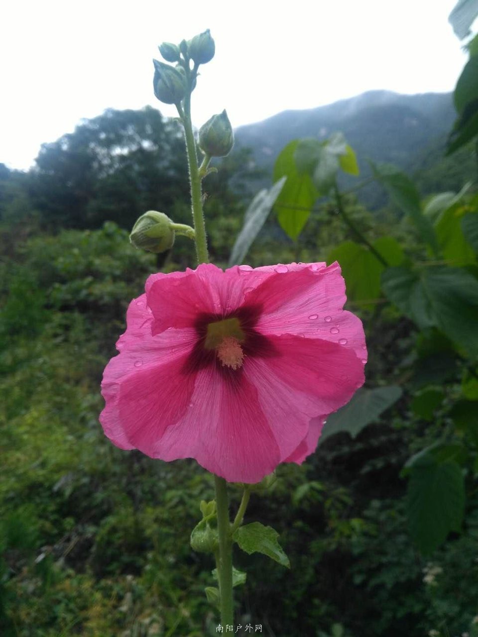 7DqlX2zFa6Sdl-PVRa-Ow6qC-6i-UAsPRbF4XSFKkDQvr2X0-jkfieCSTVEp7fot